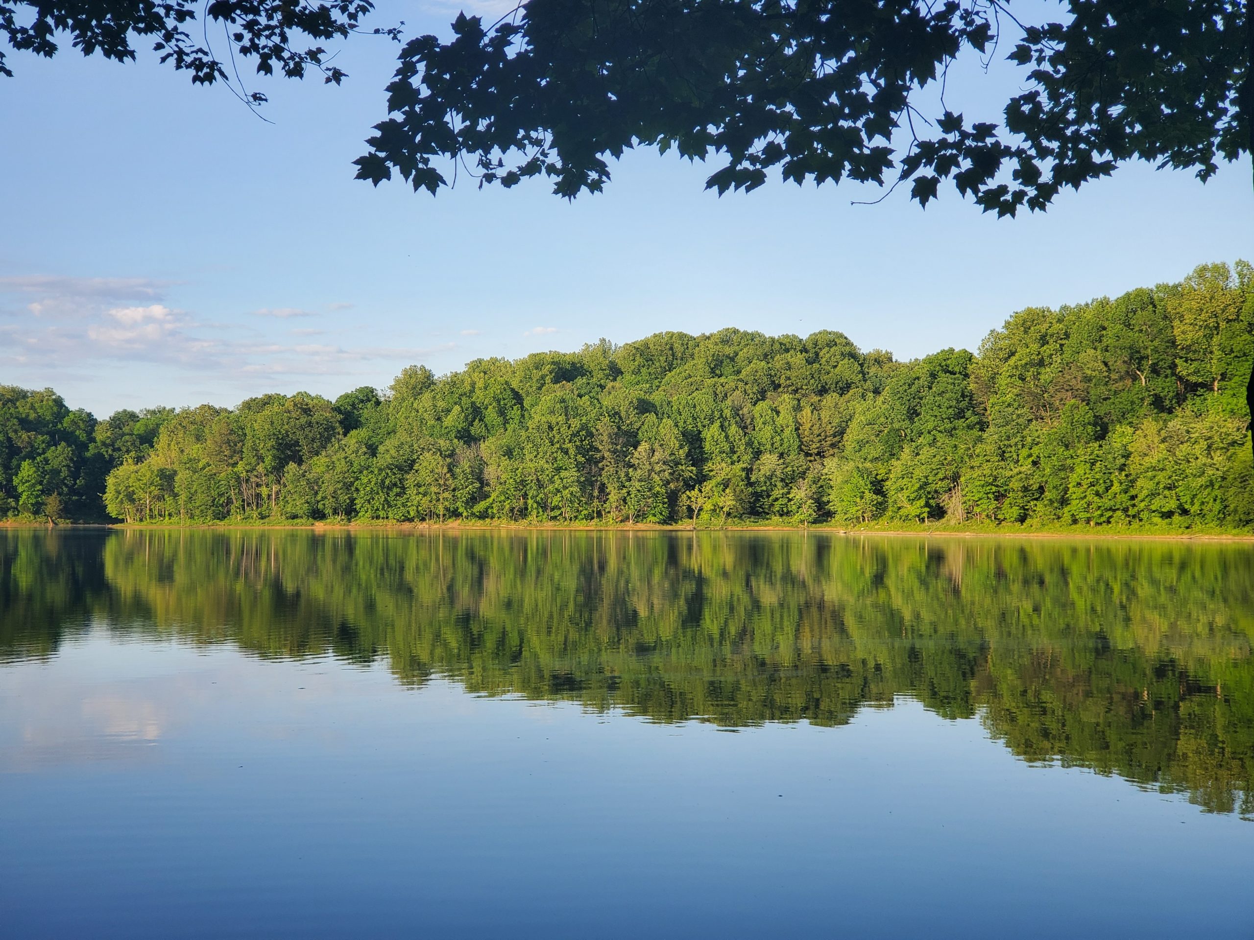 funding-awarded-for-lake-restoration-project-environmentjournal