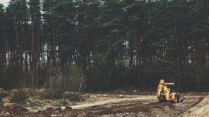 yellow front-loader near trees