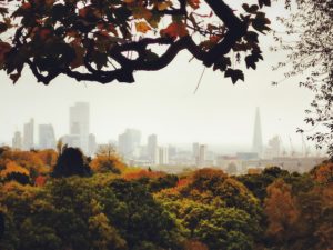 green trees near city buildings during daytime