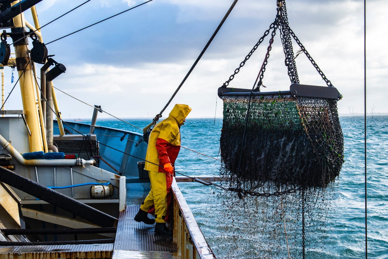 The UK must futureproof fisheries with 'climate-smart' action