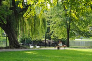 woman sitting on bench