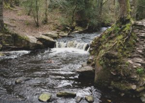 MP’s vote to allow sewage in Britain’s rivers and seas