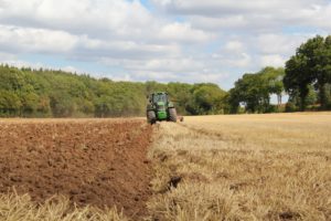 COP26: 45 countries pledge to farm sustainably