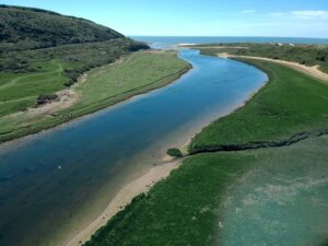Government takes steps to improve waterways following inaction