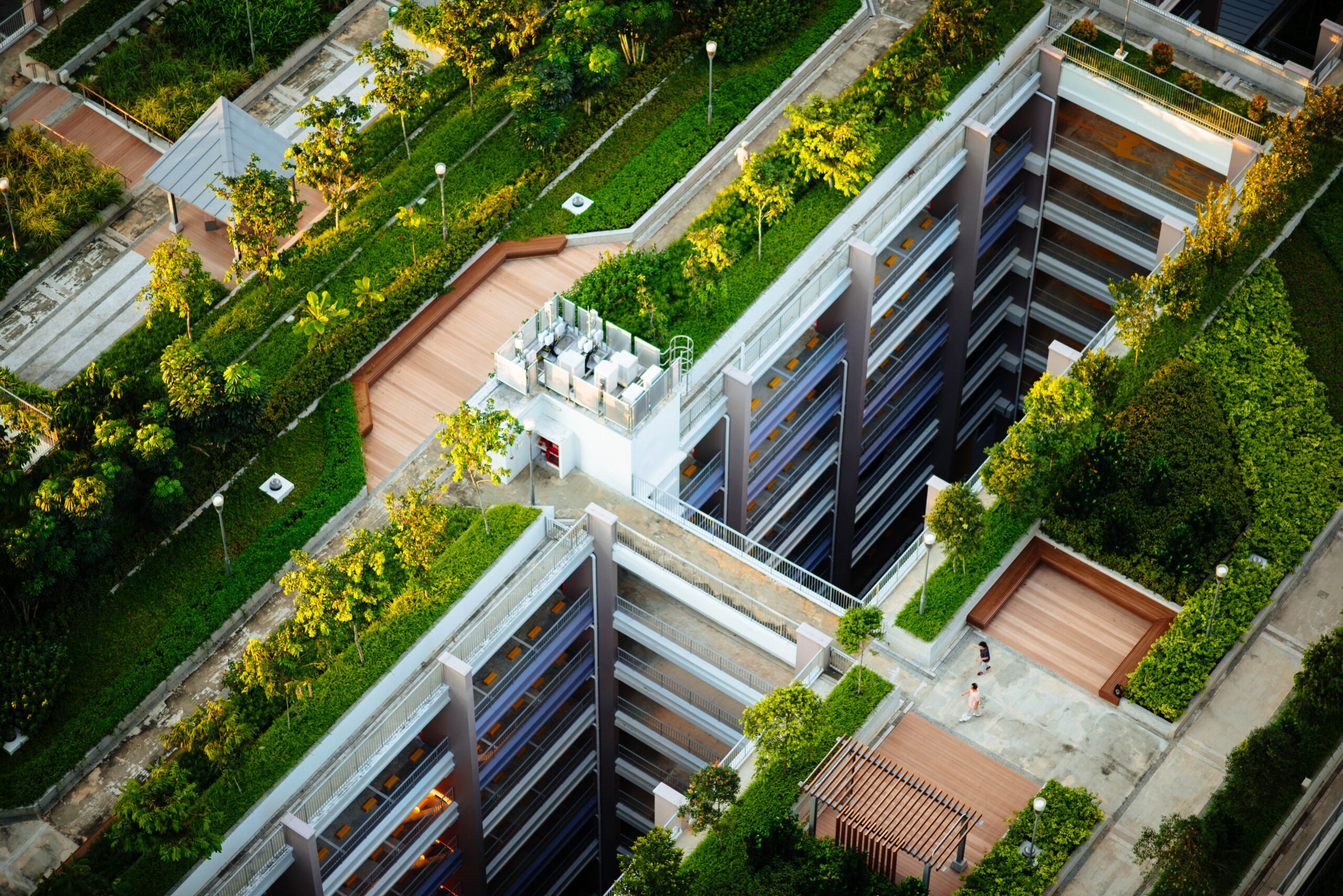 Green roofs can boost energy efficiency and benefit the environment