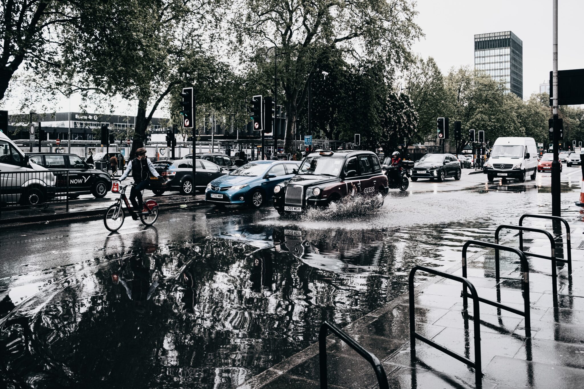 cars parked on parking lot near trees during daytime