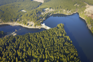 Climate crisis impacting drinking water quality as forests die