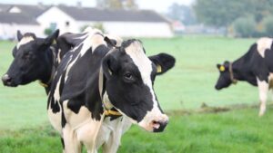 Researchers to develop biotechnology to capture harmful methane