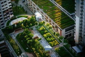 CO2 from buildings could be used to improve rooftop gardens