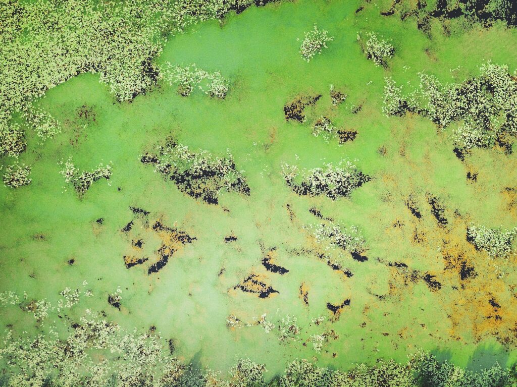 aerial view of body of water