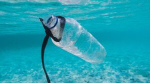 Talks on global plastic pollution treaty begin