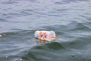 Plastic consumption in G20 set to almost double by 2050