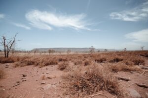 a barren field with a few trees in the distance