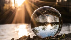 2024 predictions for climate action in business
