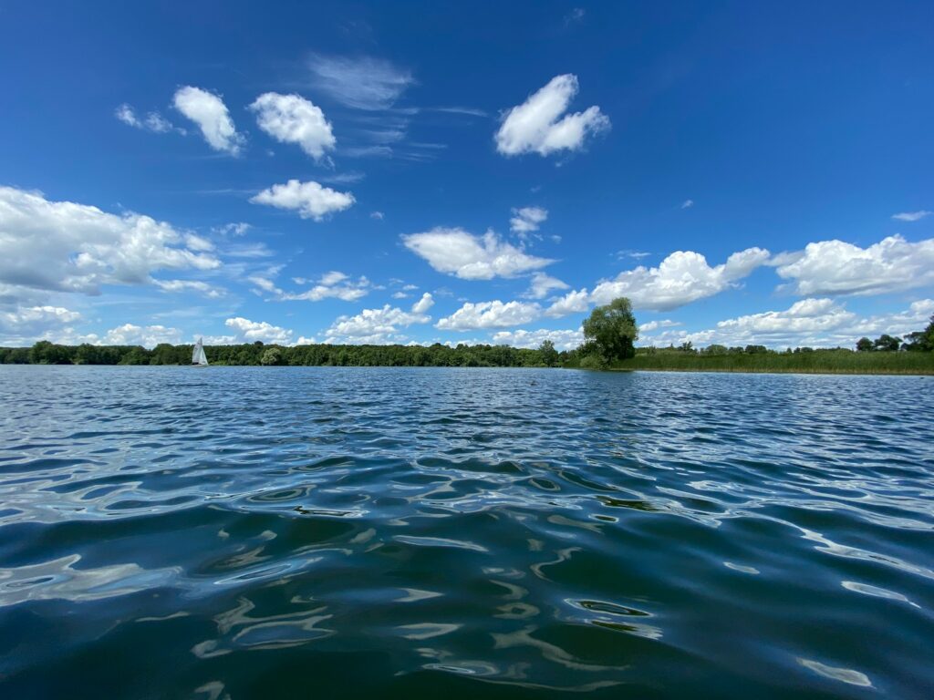 How River Thames Scheme uses nature assessments to support vulnerable species