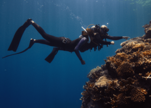 WATCH: Behind the scenes of new Warner Bros coral bleaching documentary
