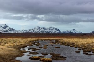 Tundra transforming from carbon sink to source as climate shifts