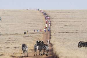 Running free: Kenya’s conservation-led Lewa Safari Marathon