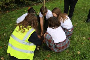 Applications open for free trees in school grounds