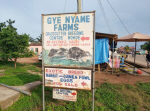 Dining out: West Africa’s bushmeat trade is greater threat than poaching