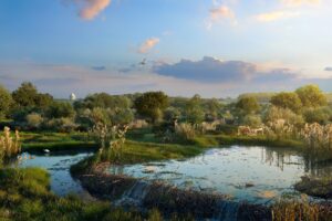 30 year restoration and rewilding project begins at Castle Howard