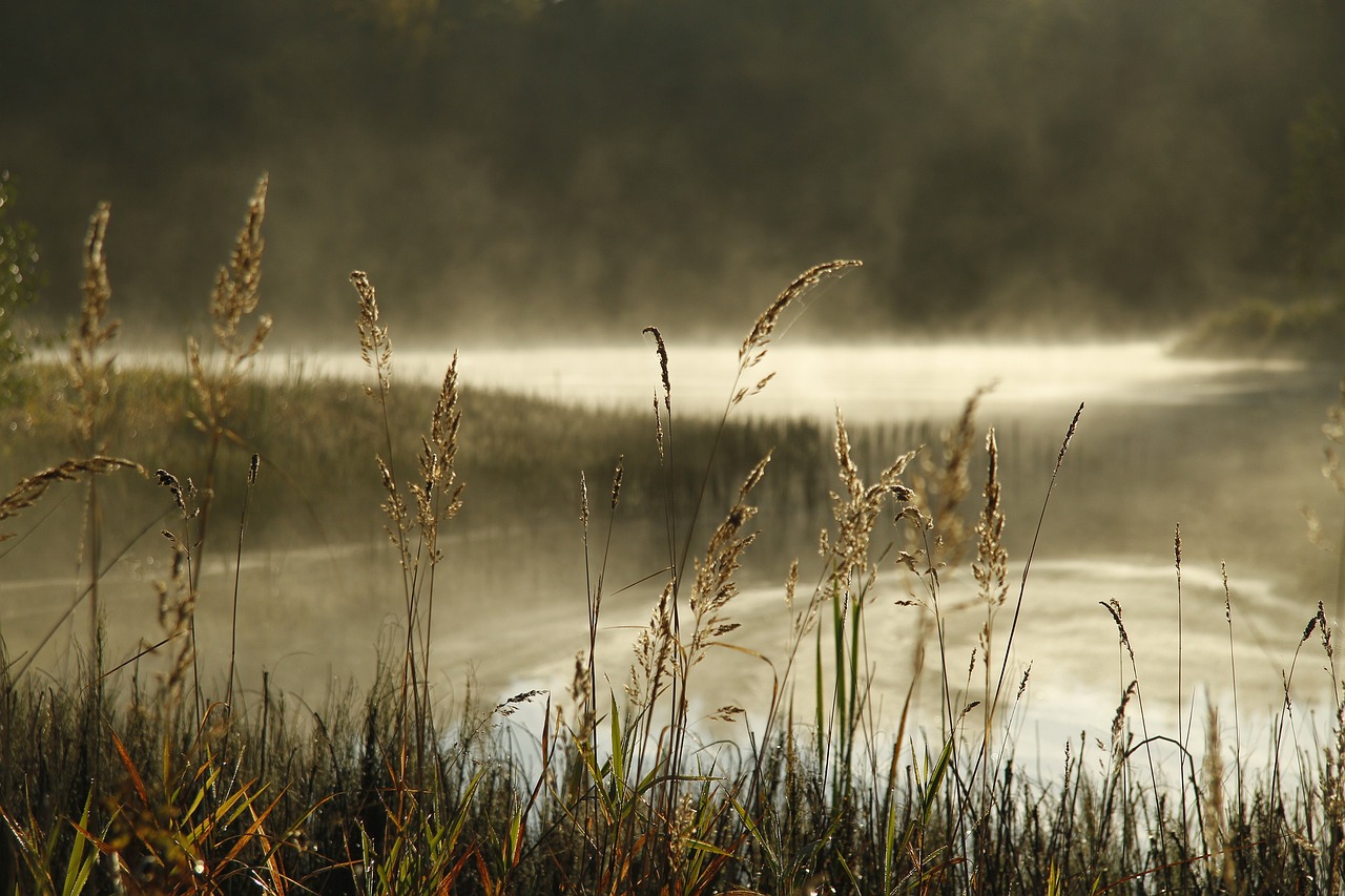 Scientists can identify worst water pollutants and most vulnerable species