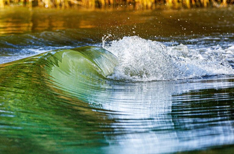 danube river, wave, danube wave, water wave, flood, nature, tidal wave, water, flood, flood, flood, flood, flood