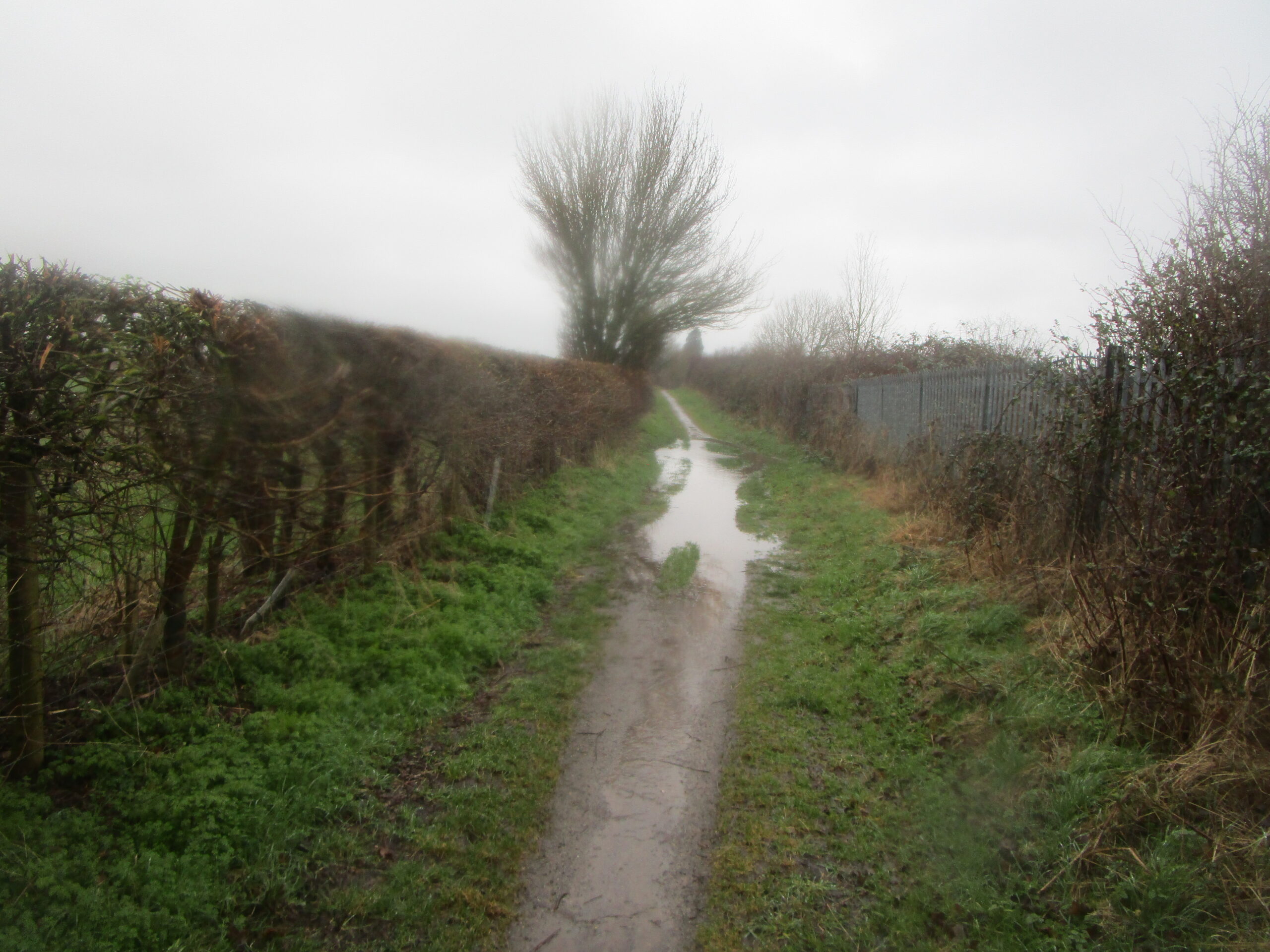 Using sustainable drainage technology to stop National Cycle Network flooding