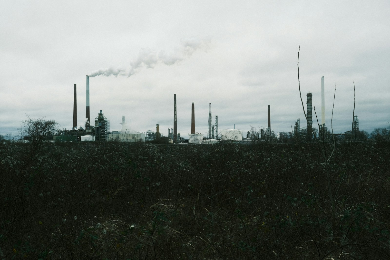80% of Britons want tax hikes for worst corporate polluters