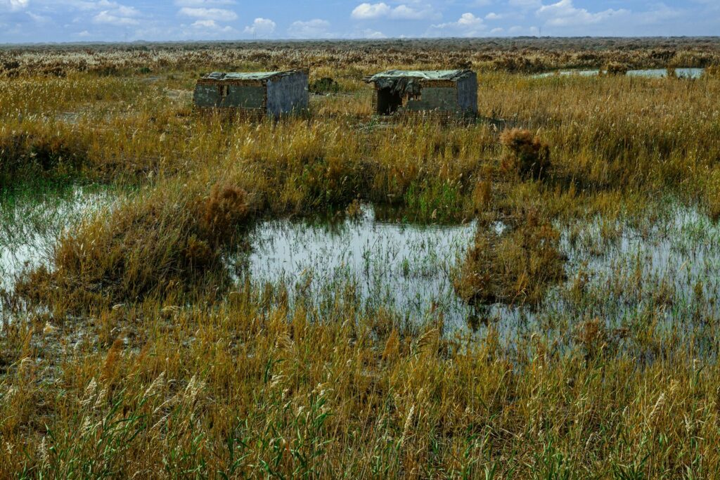 Councils can’t afford to investigate contaminated land sites