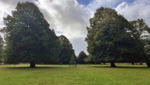Hampshire nature project aims to revive historic estate