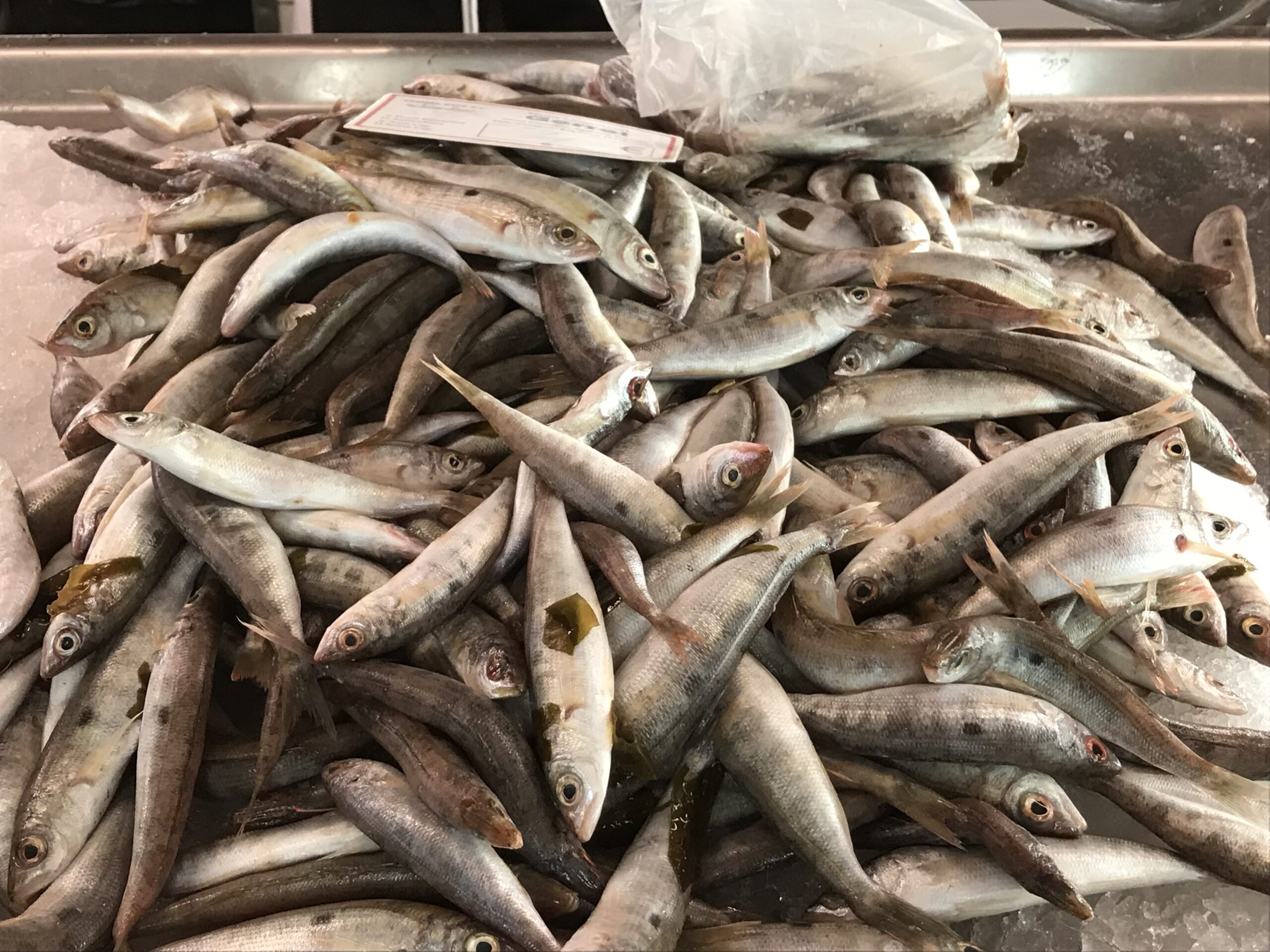 Only 30 countries include food waste emissions in NDCs