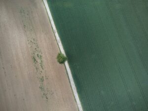 Signs of a sickly planet: Europe’s crop droughts worsen despite rain