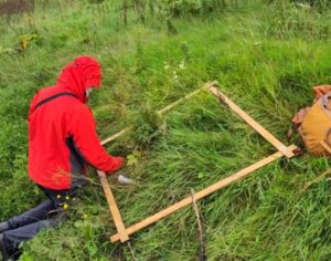 River managers need to understand the real impact of Himalayan balsam