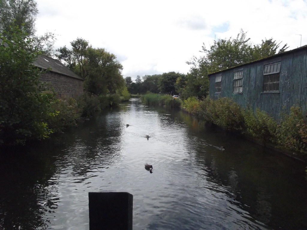 High Court showdown tests environmental limits of industrial farming