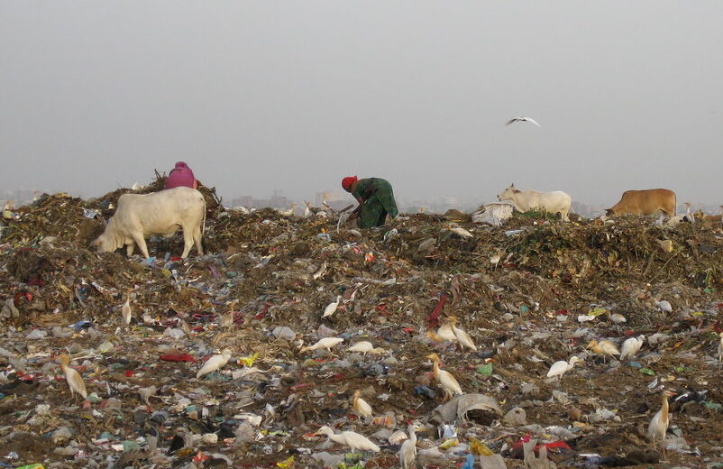 103 contaminated sites or thousands? India’s toxic data gap