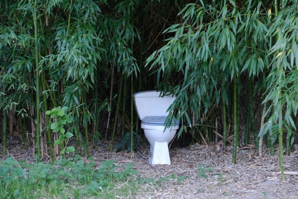To pee or not to pee: environmental questions hang over urine