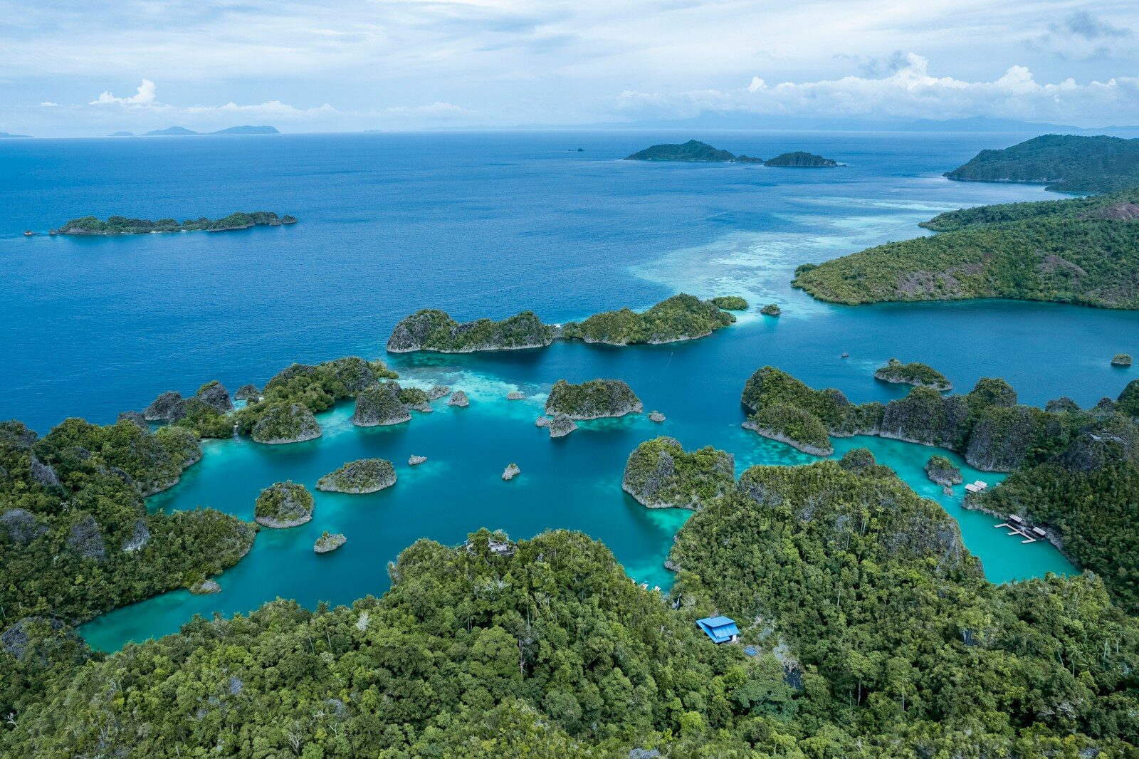 The ocean has protections on paper, it needs them in the water