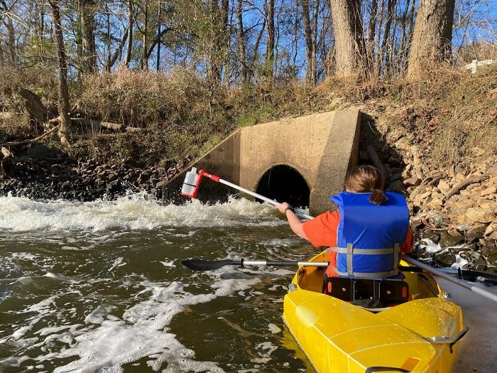 Antidepressants in river systems are harming wildlife