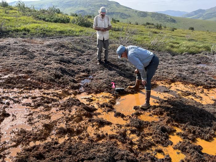 Thawing permafrost is poisoning Alaska’s rivers
