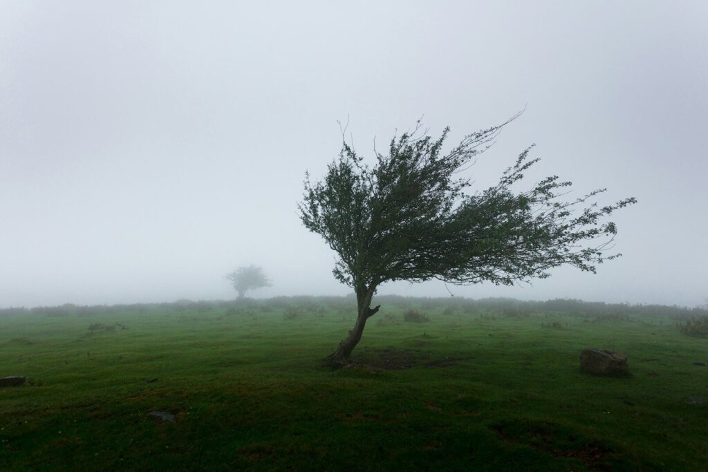 90% of UK businesses ‘already dealing with tangible climate fallout’