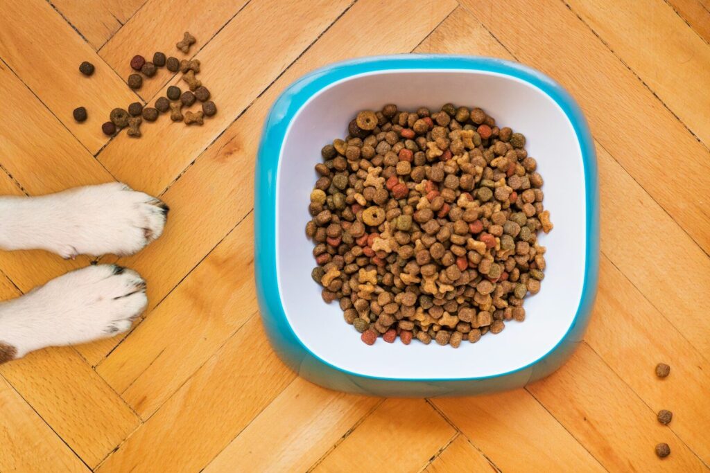 Government urged to act now on microplastics in pet food