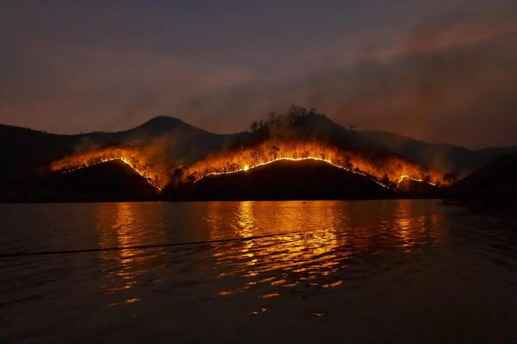 Most carbon released by Canada’s 2023 wildfires came from burning soils