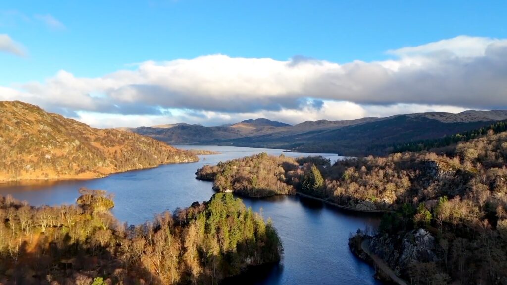 Inside the Loch Katrine woodland regeneration