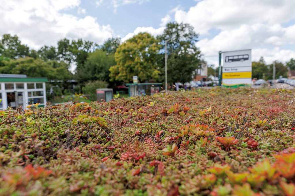 Greening the routes: Transforming transport stops into living ecosystems