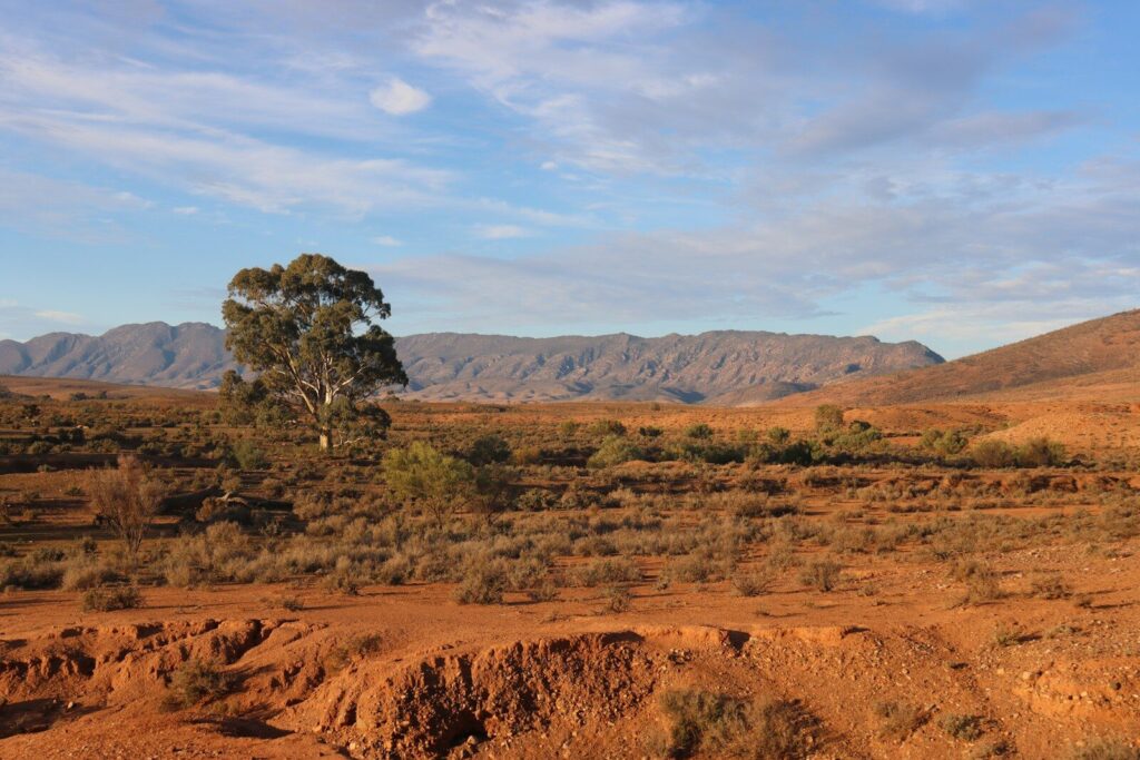Can experts from Earth’s second-driest continent solve UK water crisis?