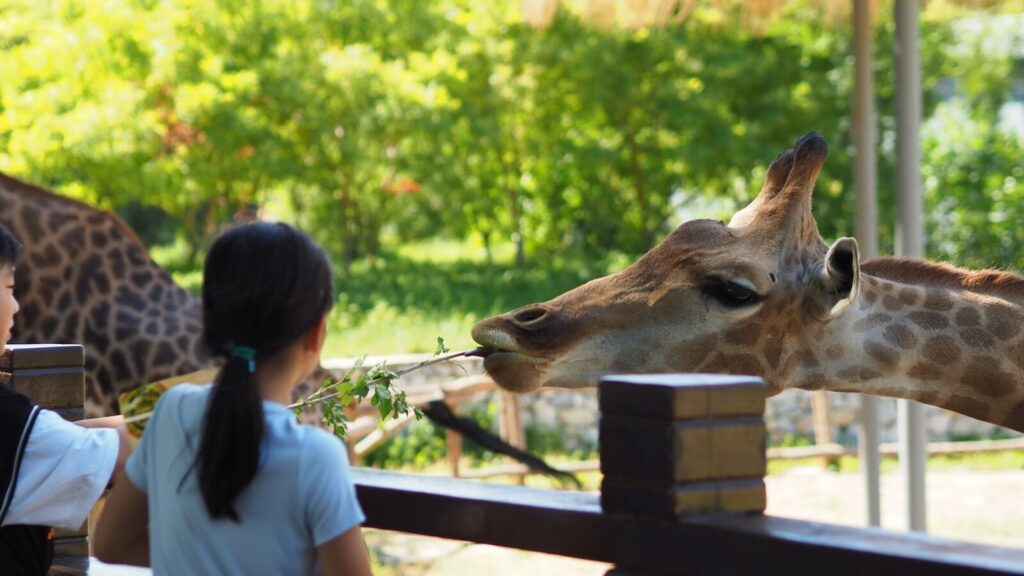 UK zoos focus on spectacle over science, study finds