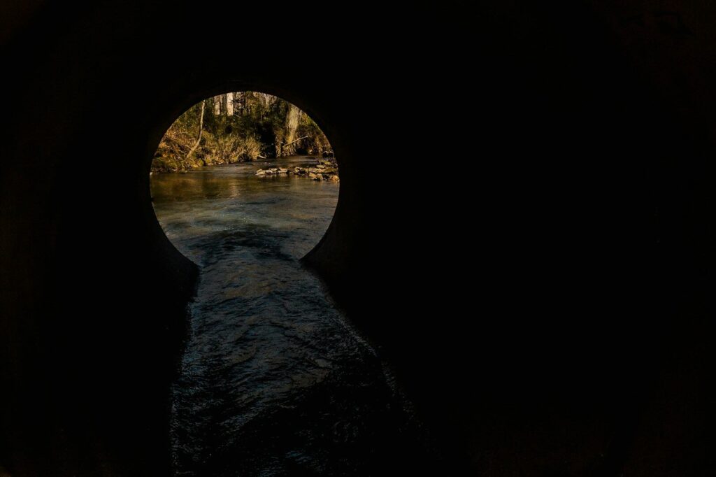 World Water Week: regulation versus responsibility, who controls our water waste?