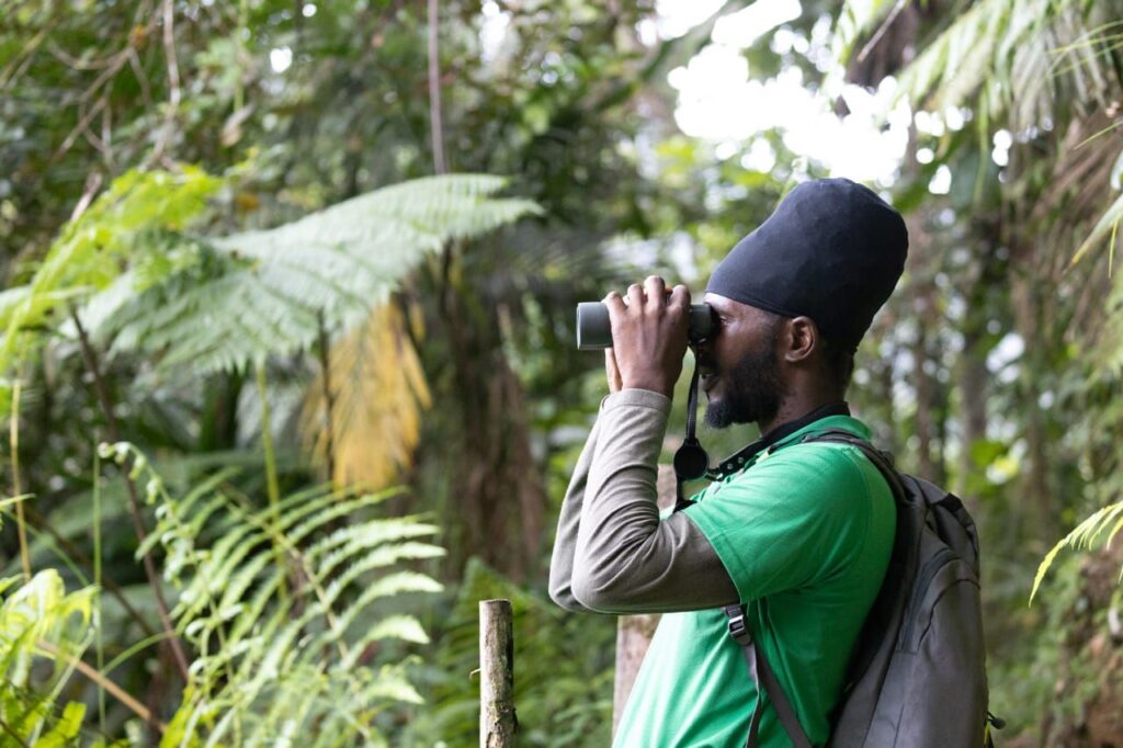 How holidaymakers are helping save Saint Lucia’s unique endemic wildlife