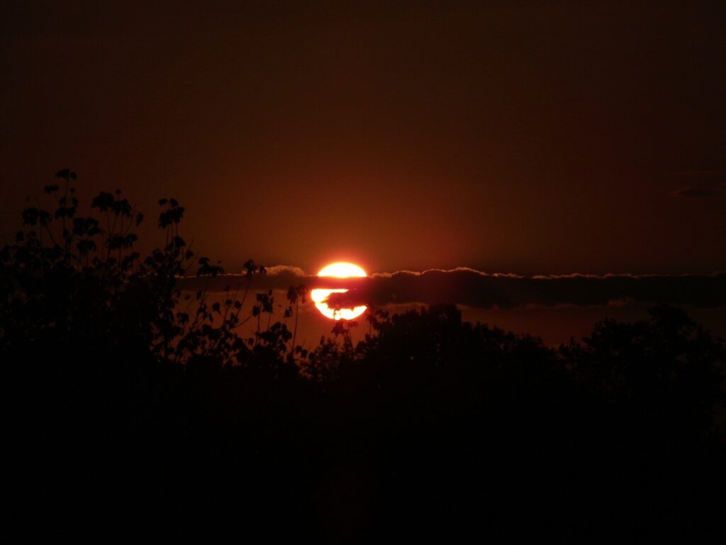 7 ways nature will respond to this evening’s solar eclipse
